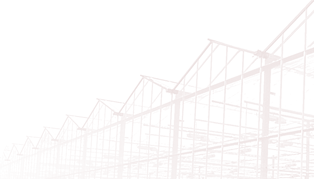 俄罗斯专享会294(中国游)官方网站