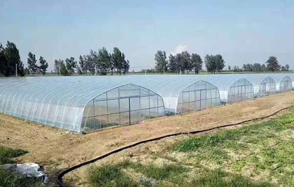 俄罗斯专享会294(中国游)官方网站