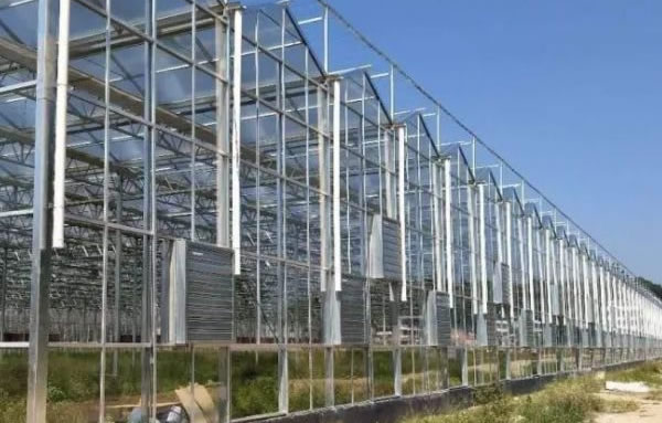 俄罗斯专享会294(中国游)官方网站