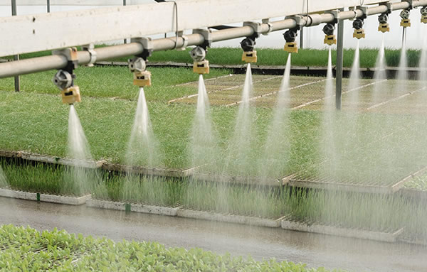 俄罗斯专享会294(中国游)官方网站